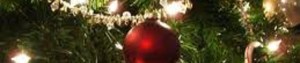 cropped-xmas-tree111.jpg